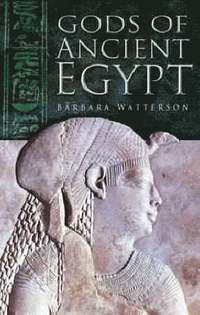 bokomslag Gods of Ancient Egypt
