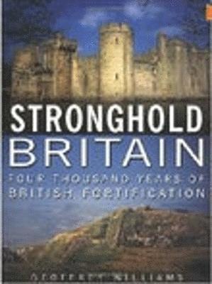 bokomslag Stronghold Britain