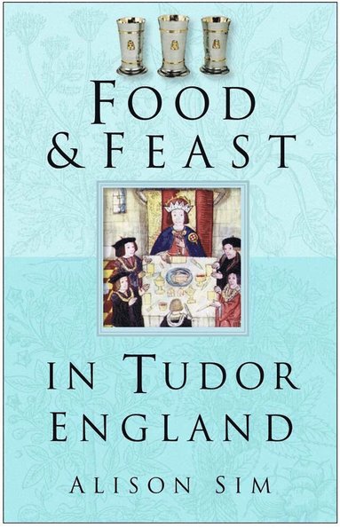 bokomslag Food and Feast in Tudor England