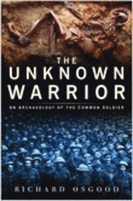 bokomslag The Unknown Warrior