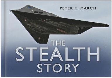 bokomslag The Stealth Story