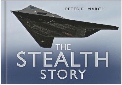 The Stealth Story 1