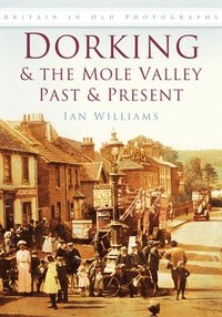 bokomslag Dorking and the Mole Valley Past and Present