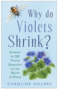 bokomslag Why Do Violets Shrink?