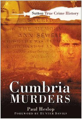 bokomslag Cumbria Murders