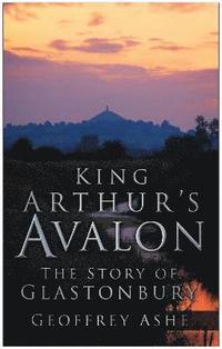 bokomslag King Arthur's Avalon