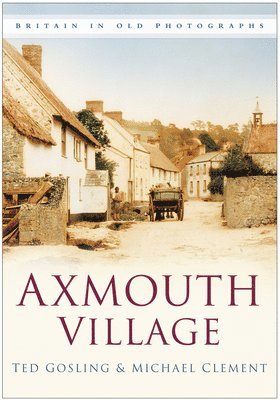 Axmouth Village 1