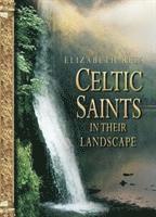 bokomslag Celtic Saints In Their Landscape