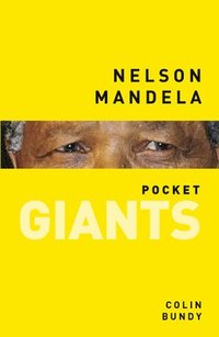 bokomslag Nelson Mandela: pocket GIANTS
