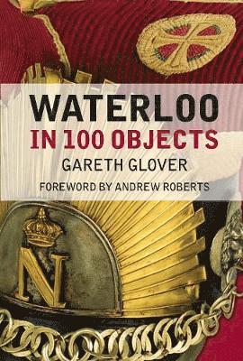 bokomslag Waterloo in 100 Objects