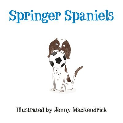 Springer Spaniels 1