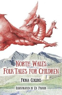 bokomslag North Wales Folk Tales for Children