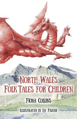 bokomslag North Wales Folk Tales for Children