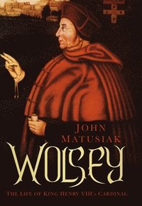 bokomslag Wolsey