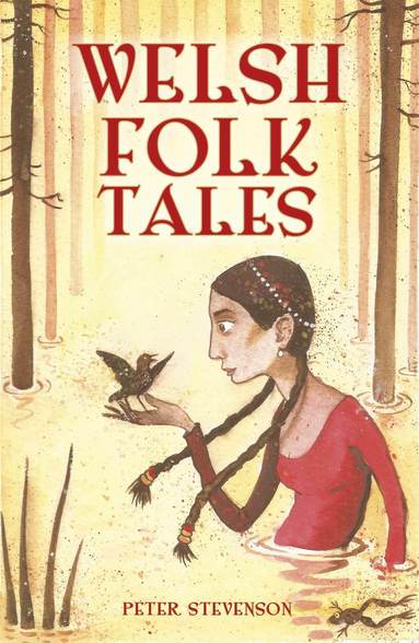 bokomslag Welsh Folk Tales