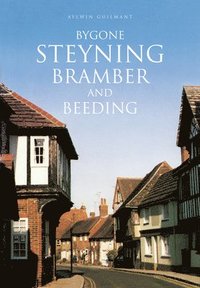 bokomslag Bygone Steyning, Bramber and Beeding
