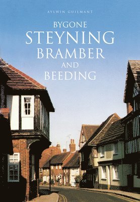 Bygone Steyning, Bramber and Beeding 1