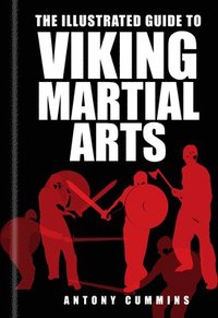 bokomslag The Illustrated Guide to Viking Martial Arts