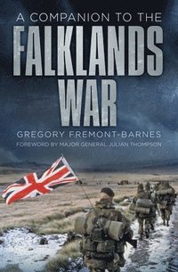 bokomslag A Companion to the Falklands War