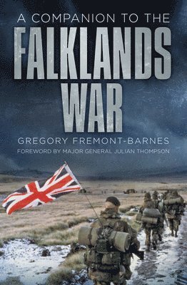 bokomslag A Companion to the Falklands War
