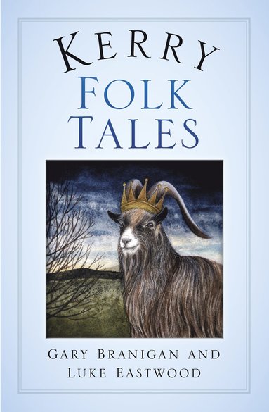 bokomslag Kerry Folk Tales