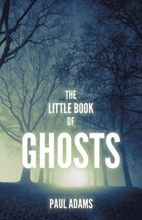 bokomslag The Little Book of Ghosts