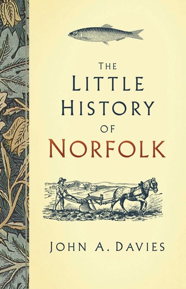John A. Davies - Little History of Norfolk, Inbunden