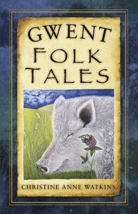 bokomslag Gwent Folk Tales