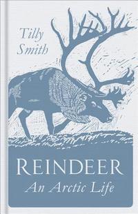 bokomslag Reindeer: An Arctic Life