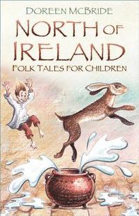 bokomslag North of Ireland Folk Tales for Children