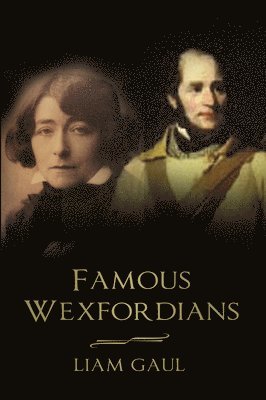 bokomslag Famous Wexfordians