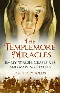 bokomslag The Templemore Miracles