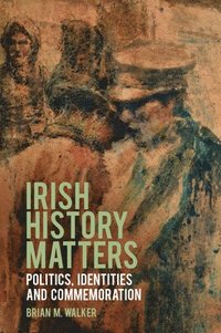 bokomslag Irish History Matters
