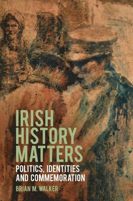 bokomslag Irish History Matters