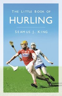 bokomslag The Little Book of Hurling