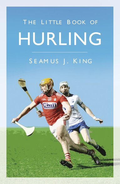 bokomslag Little Book of Hurling