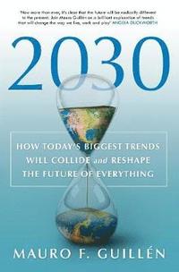 bokomslag 2030