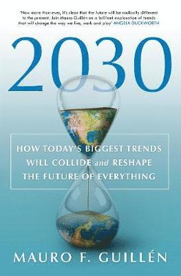 bokomslag 2030