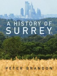 bokomslag A History of Surrey