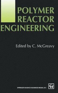bokomslag Polymer Reactor Engineering