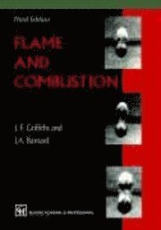 bokomslag Flame and Combustion