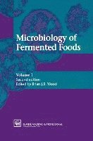 bokomslag Microbiology of Fermented Foods
