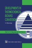 bokomslag Developments in Thermochemical Biomass Conversion