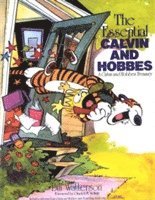 bokomslag The Essential Calvin And Hobbes