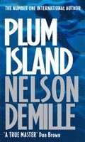 Plum Island 1