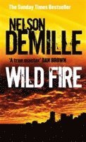 bokomslag Wild Fire