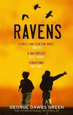 Ravens 1