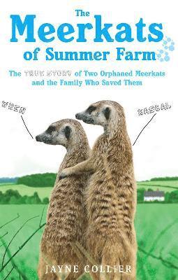 bokomslag The Meerkats Of Summer Farm