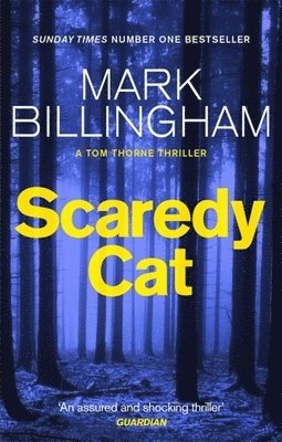 Scaredy Cat 1