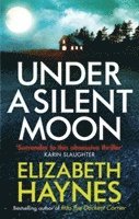 bokomslag Under a Silent Moon